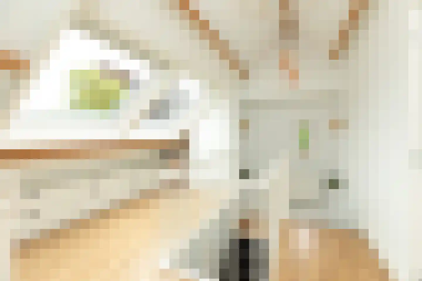 Haenwijck 2 Laren thumbnail 24