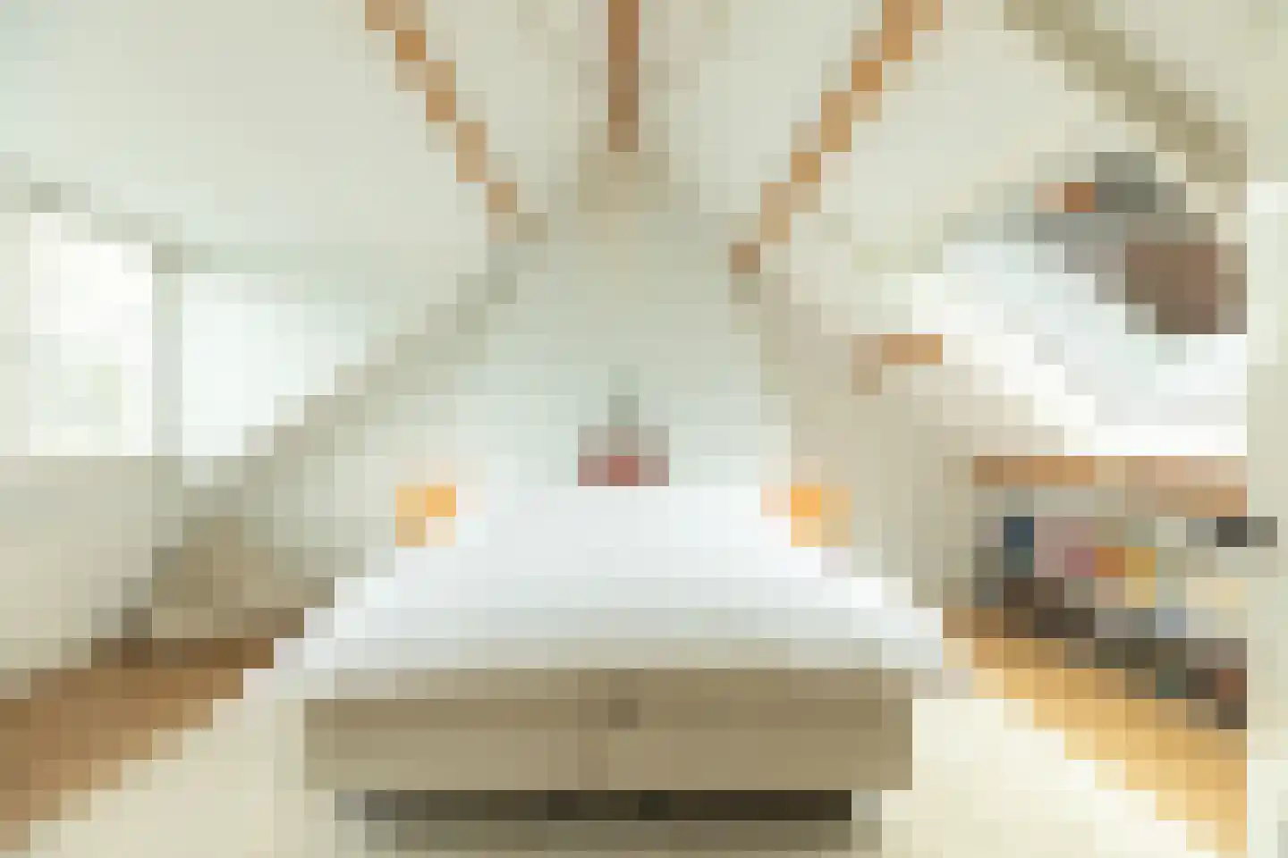 Haenwijck 2 Laren thumbnail 25