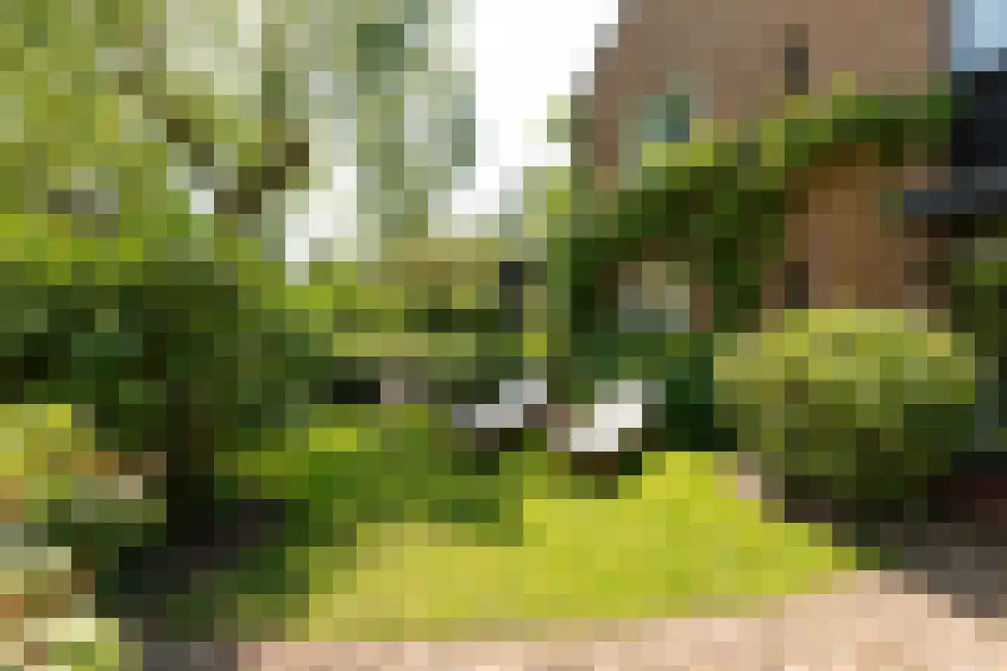 Haenwijck 2 Laren thumbnail 28