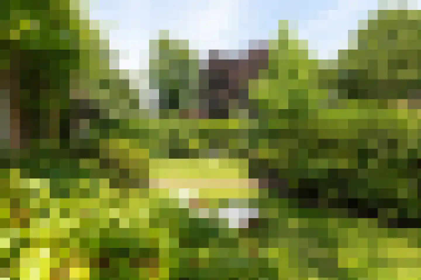 Haenwijck 2 Laren thumbnail 29