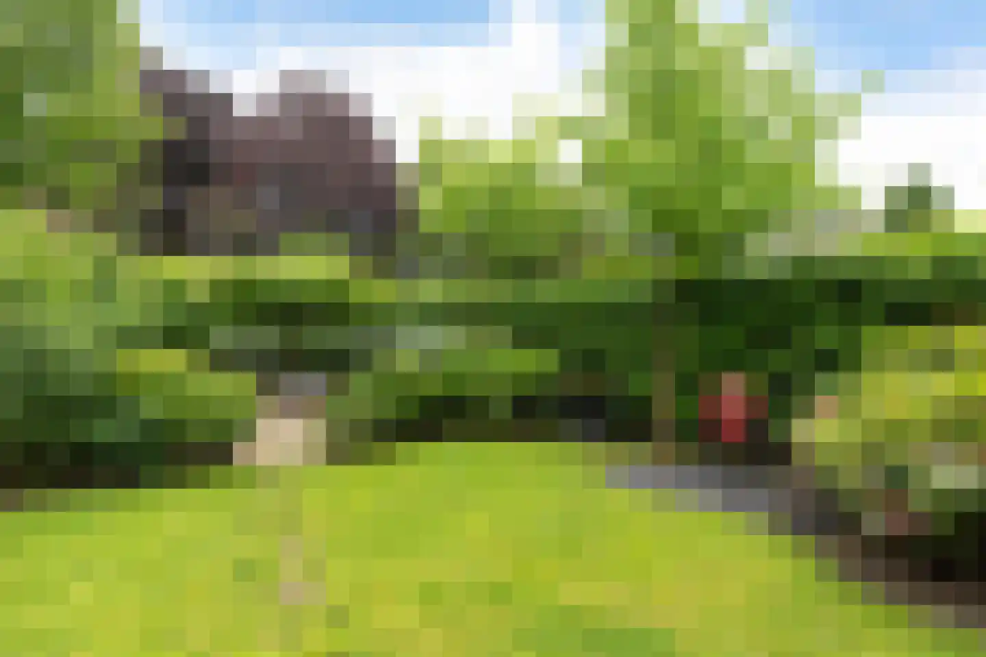Haenwijck 2 Laren thumbnail 30