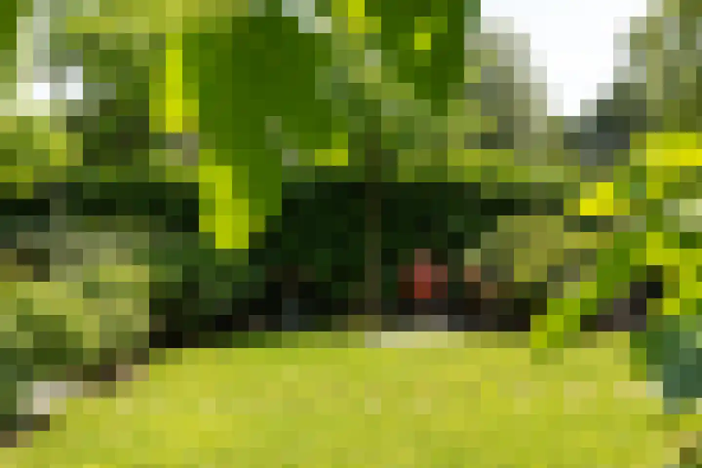 Haenwijck 2 Laren thumbnail 31