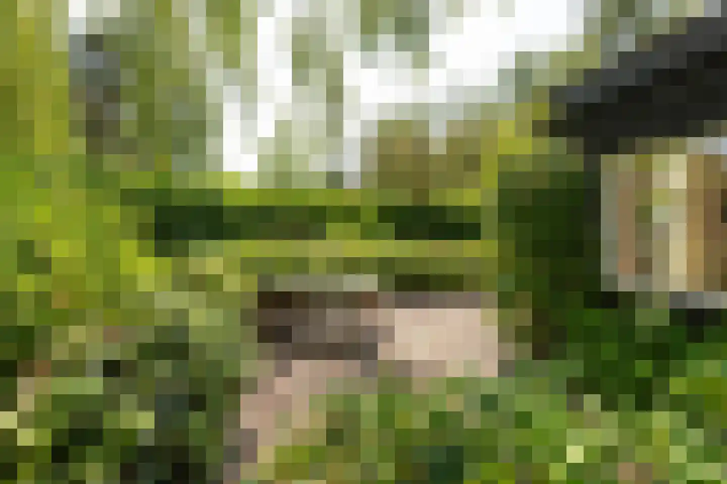 Haenwijck 2 Laren thumbnail 32
