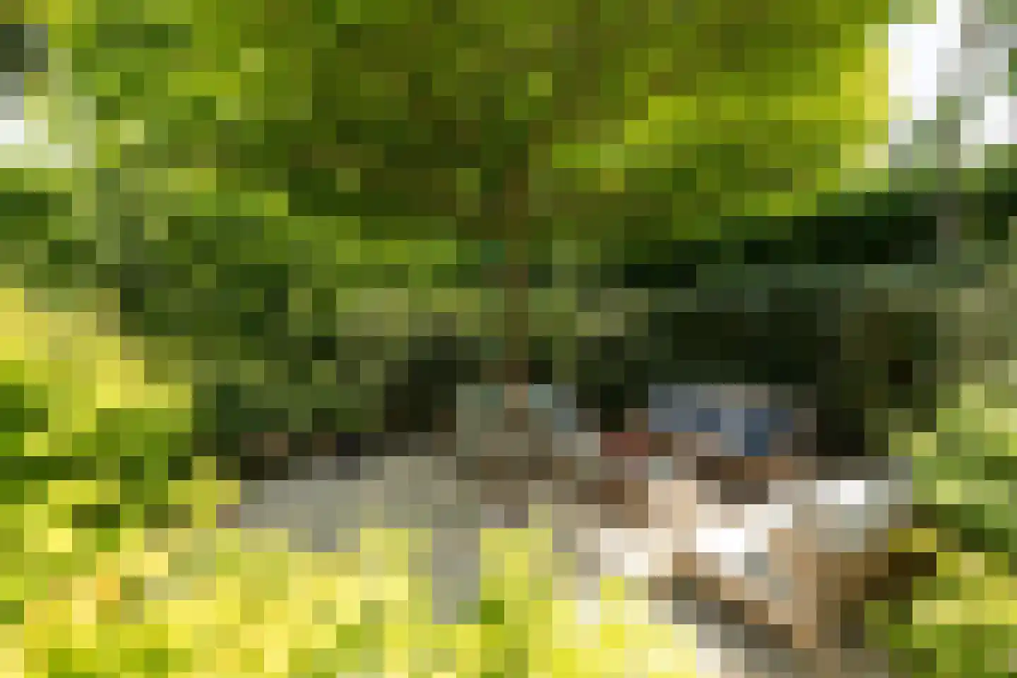 Haenwijck 2 Laren thumbnail 33