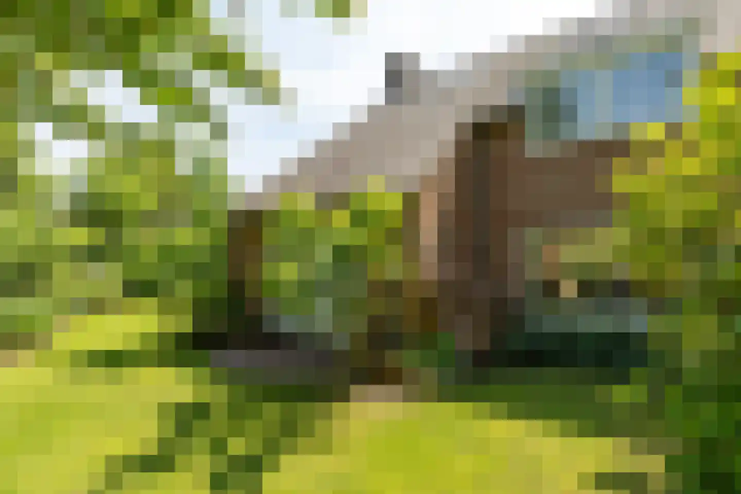 Haenwijck 2 Laren thumbnail 34