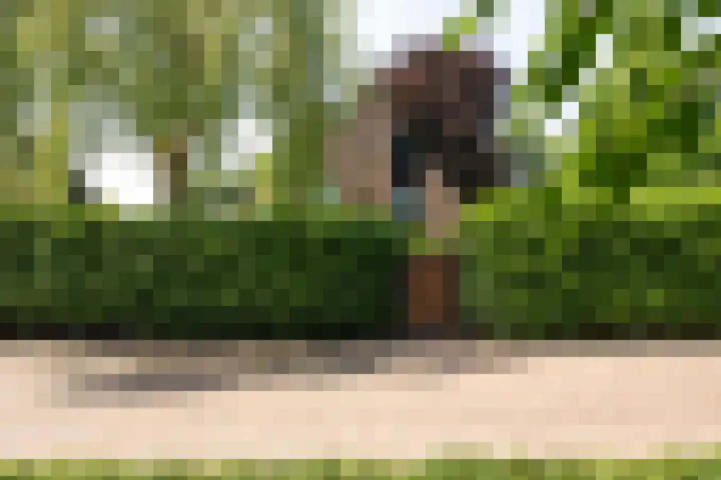 Haenwijck 2 Laren thumbnail 36