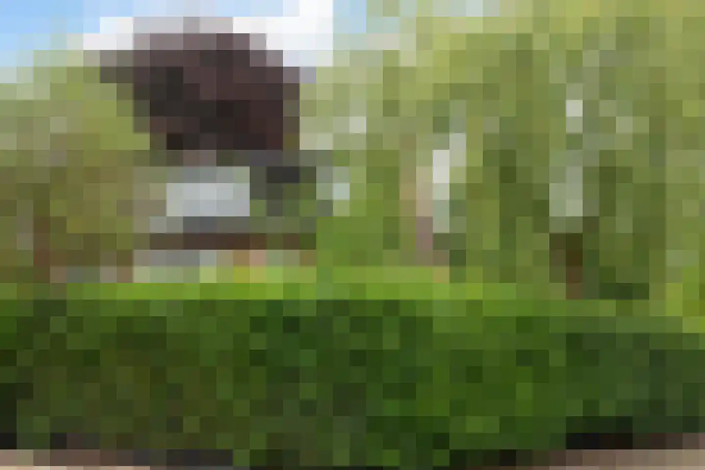 Haenwijck 2 Laren thumbnail 38