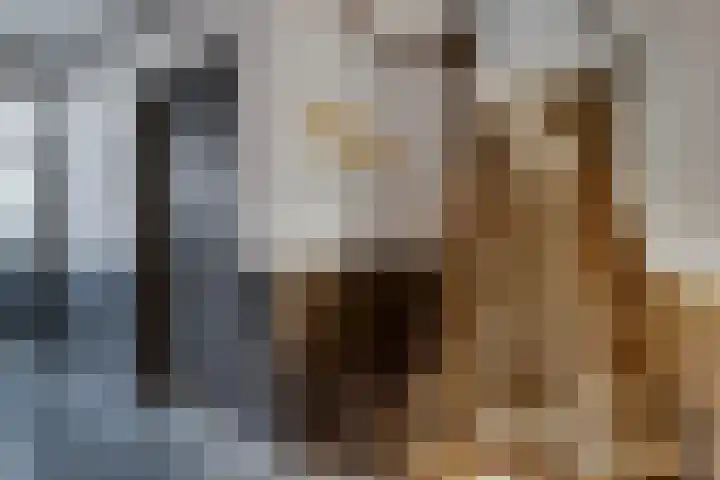 Haerdawei 20 Oosterbierum thumbnail 11