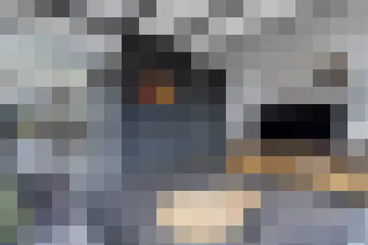 Haerdawei 20 Oosterbierum thumbnail 16