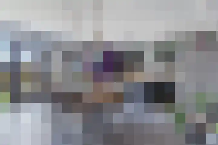 Haerdawei 20 Oosterbierum thumbnail 19