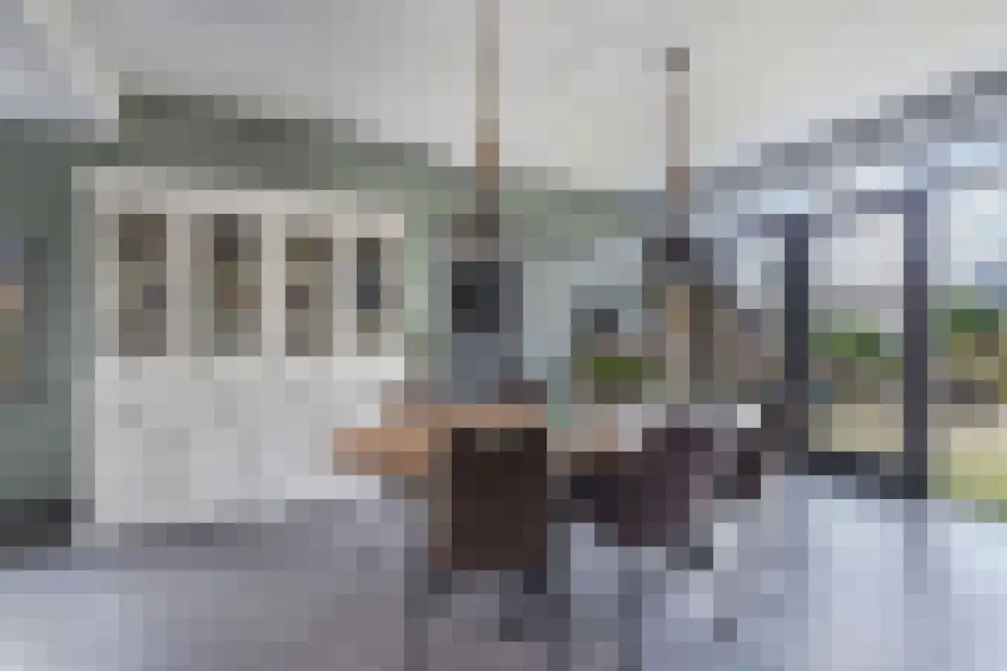 Haerdawei 20 Oosterbierum thumbnail 20