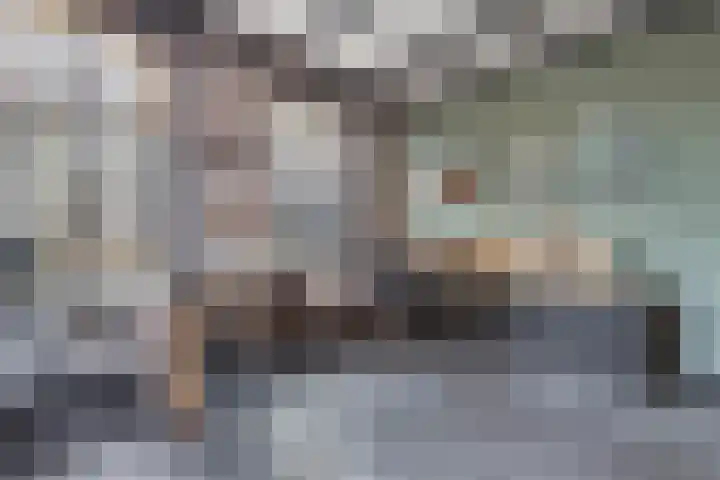 Haerdawei 20 Oosterbierum thumbnail 25