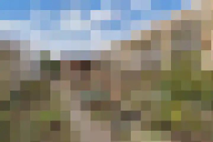 Haerdawei 20 Oosterbierum thumbnail 32
