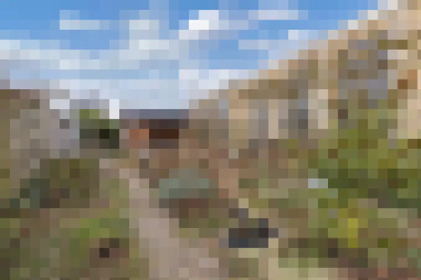 Haerdawei 20 Oosterbierum thumbnail 32