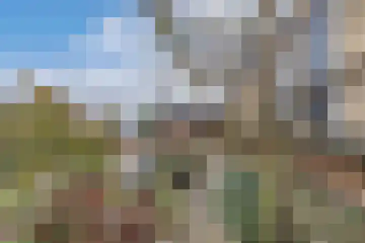Haerdawei 20 Oosterbierum thumbnail 35