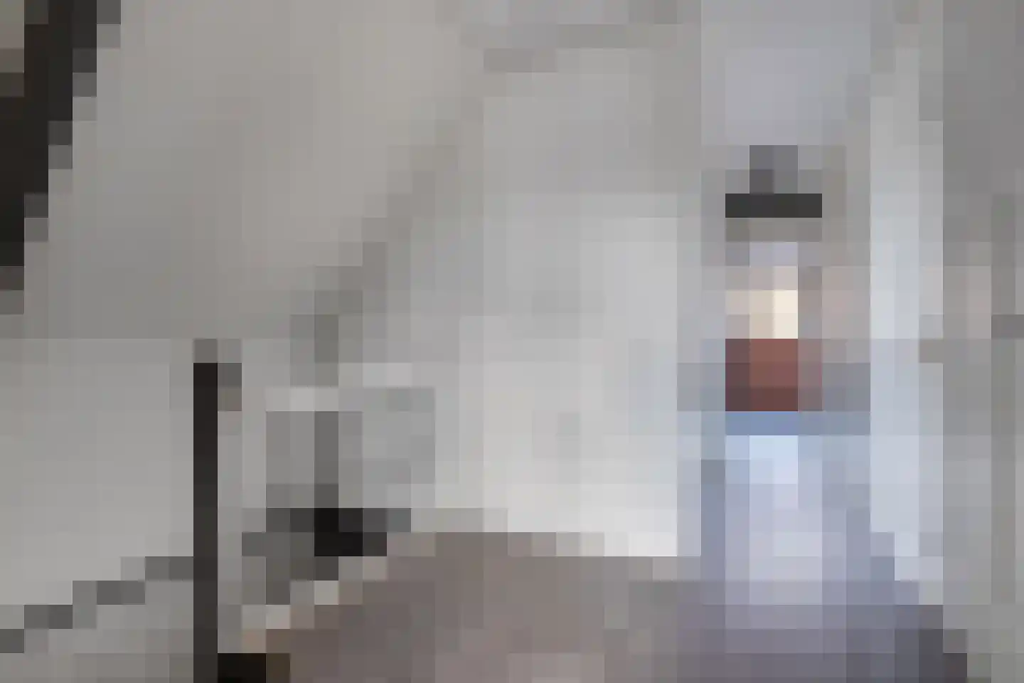 Haerdawei 20 Oosterbierum thumbnail 39