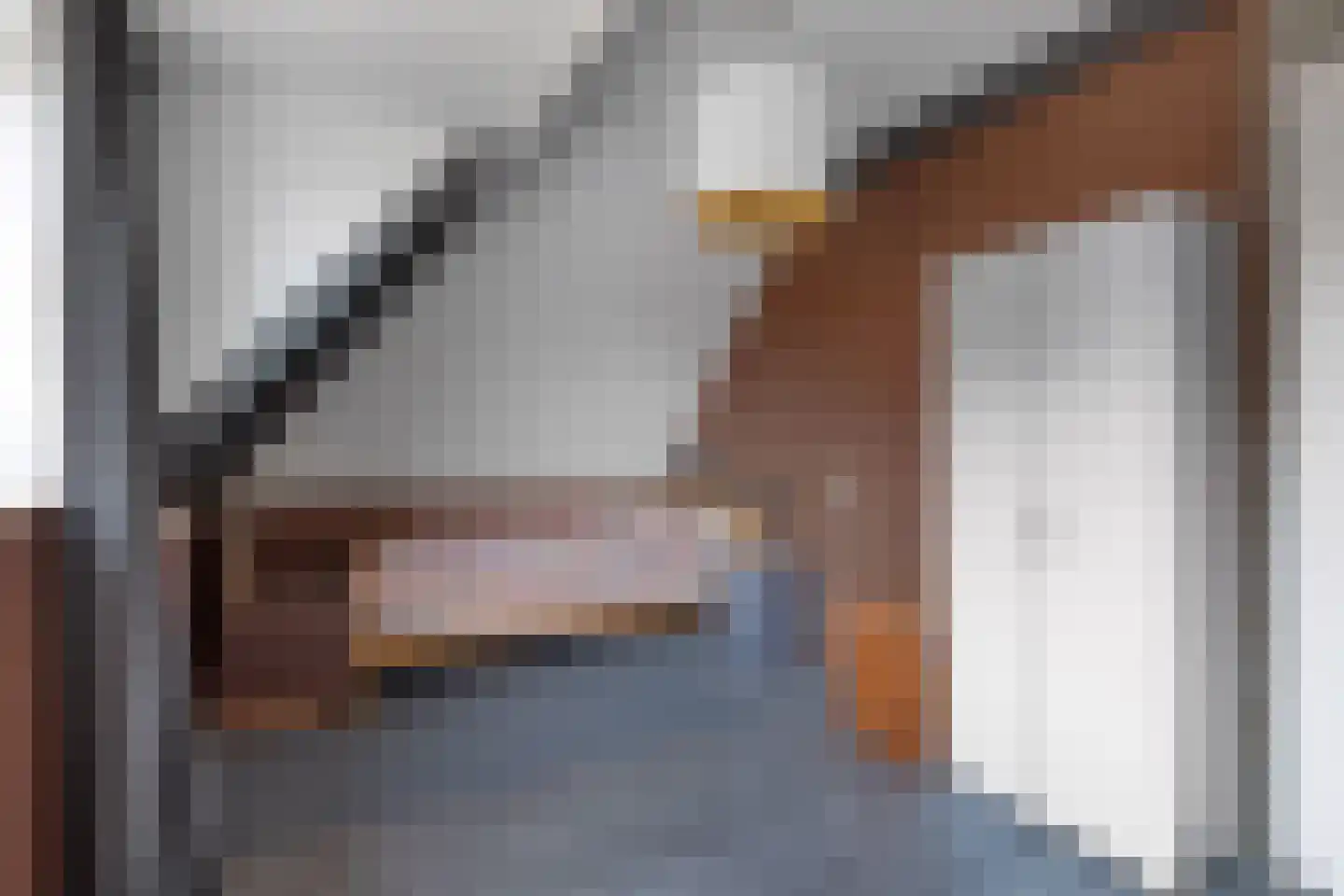 Haerdawei 20 Oosterbierum thumbnail 43