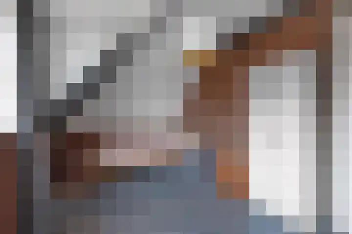 Haerdawei 20 Oosterbierum thumbnail 43