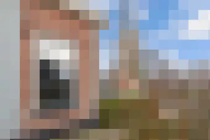 Haerdawei 20 Oosterbierum thumbnail 6