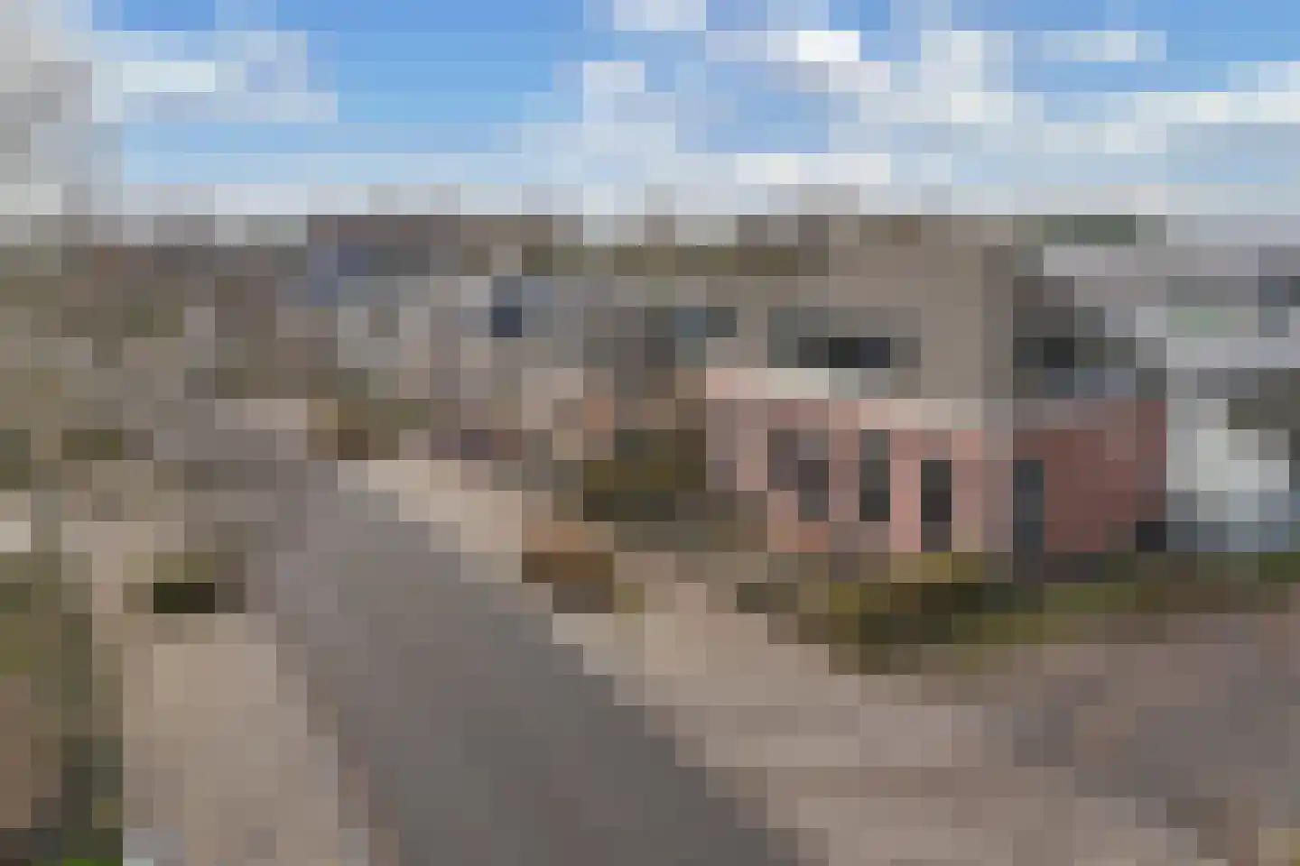 Haerdawei 20 Oosterbierum thumbnail 9