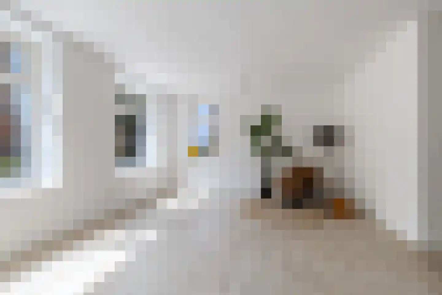 Haerdawei 8 Oosterbierum thumbnail 14