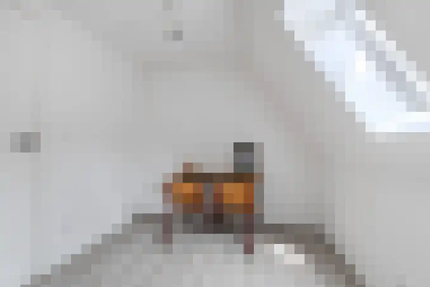Haerdawei 8 Oosterbierum thumbnail 39