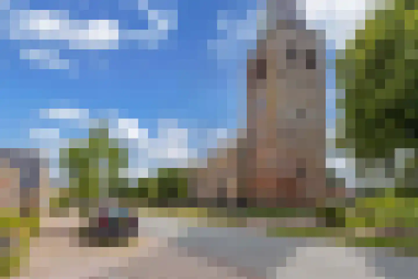 Haerdawei 8 Oosterbierum thumbnail 62