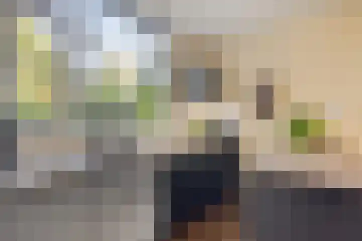 Haerkamp 15 Gorssel thumbnail 12