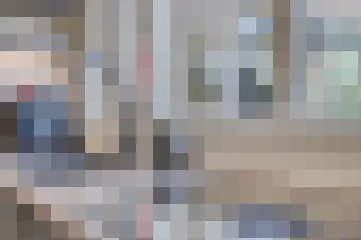 Haerkamp 15 Gorssel thumbnail 14