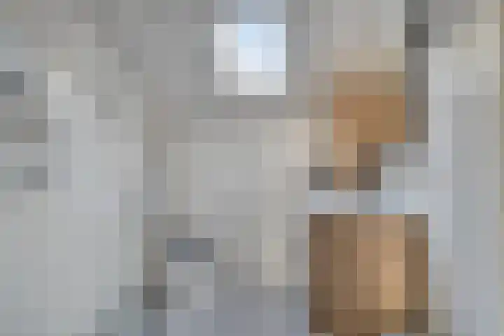 Haerkamp 15 Gorssel thumbnail 25