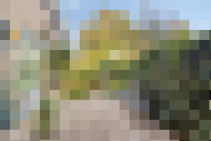 Haerkamp 15 Gorssel thumbnail 30