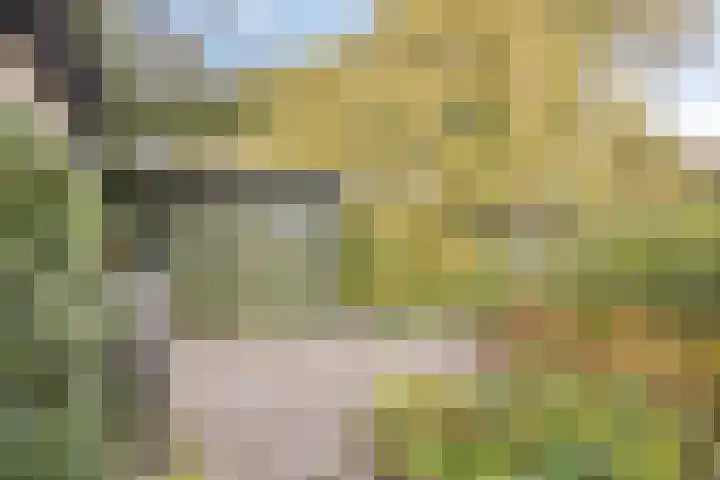Haerkamp 15 Gorssel thumbnail 31
