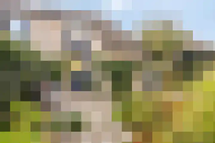Haerkamp 15 Gorssel thumbnail 32