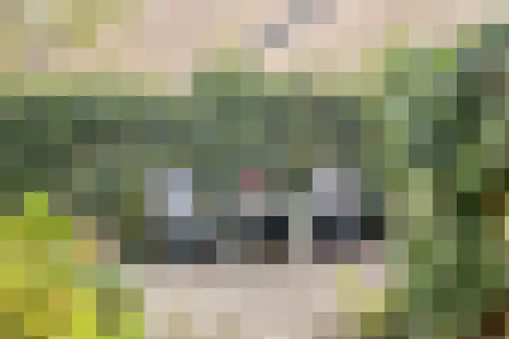 Haerkamp 15 Gorssel thumbnail 33