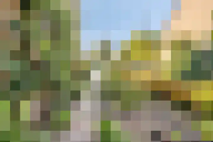 Haerkamp 15 Gorssel thumbnail 34