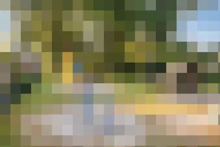 Haerkamp 15 Gorssel thumbnail 37