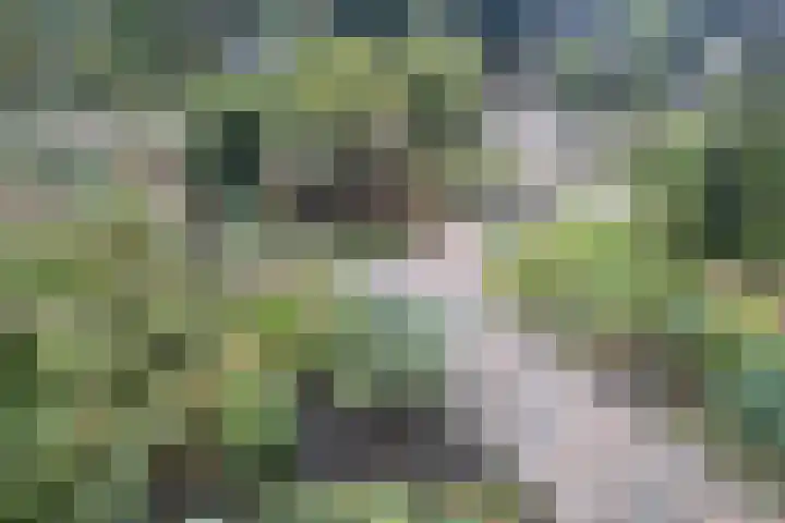 Haerkamp 15 Gorssel thumbnail 4