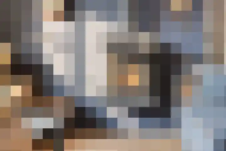 Haerkamp 15 Gorssel thumbnail 6