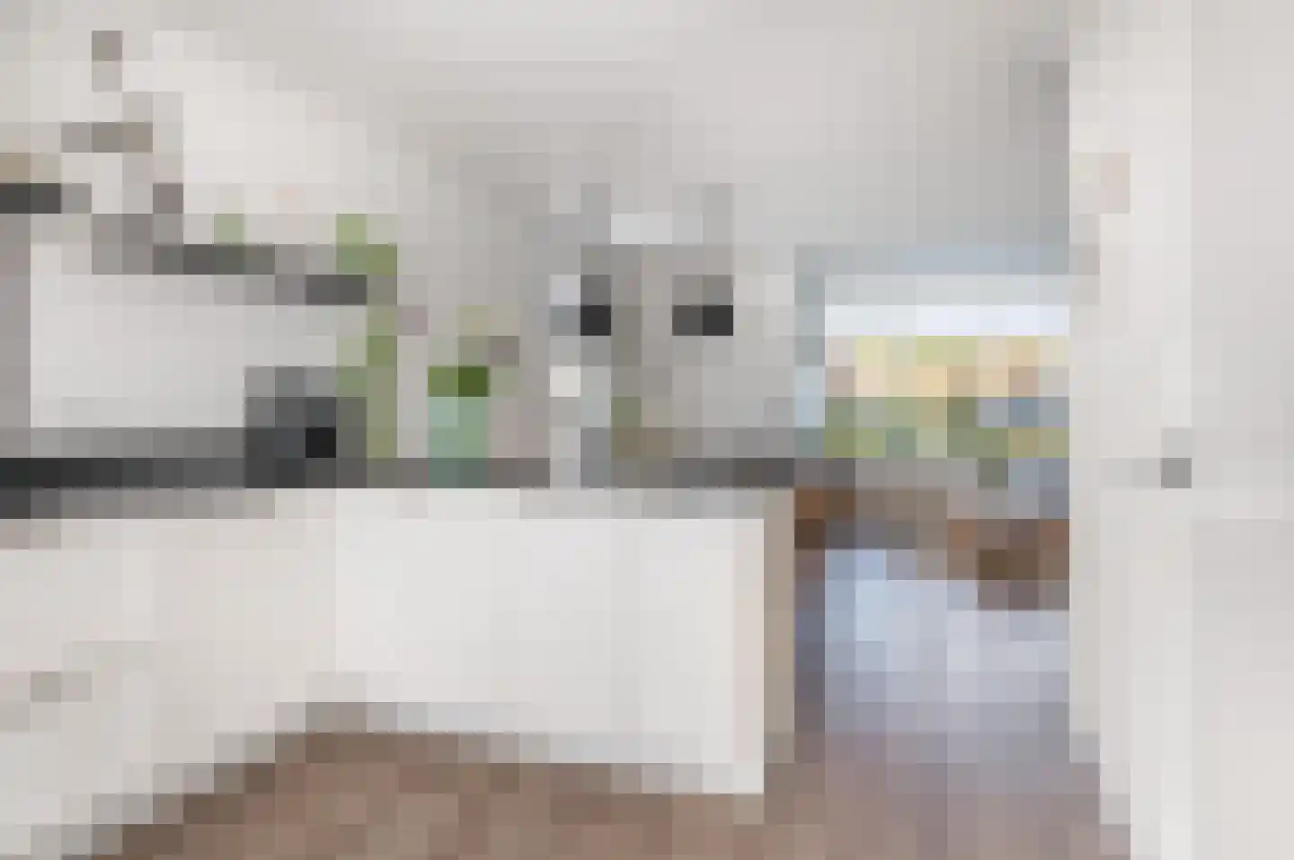 Haerkamp 41 Gorssel thumbnail 10