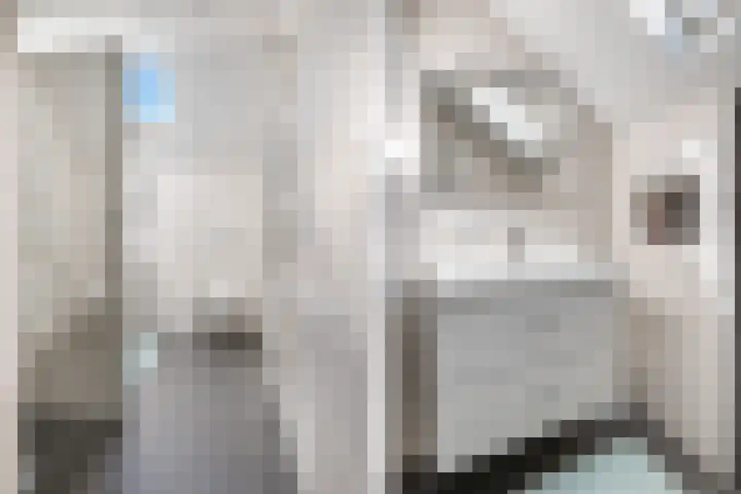 Haerkamp 41 Gorssel thumbnail 22