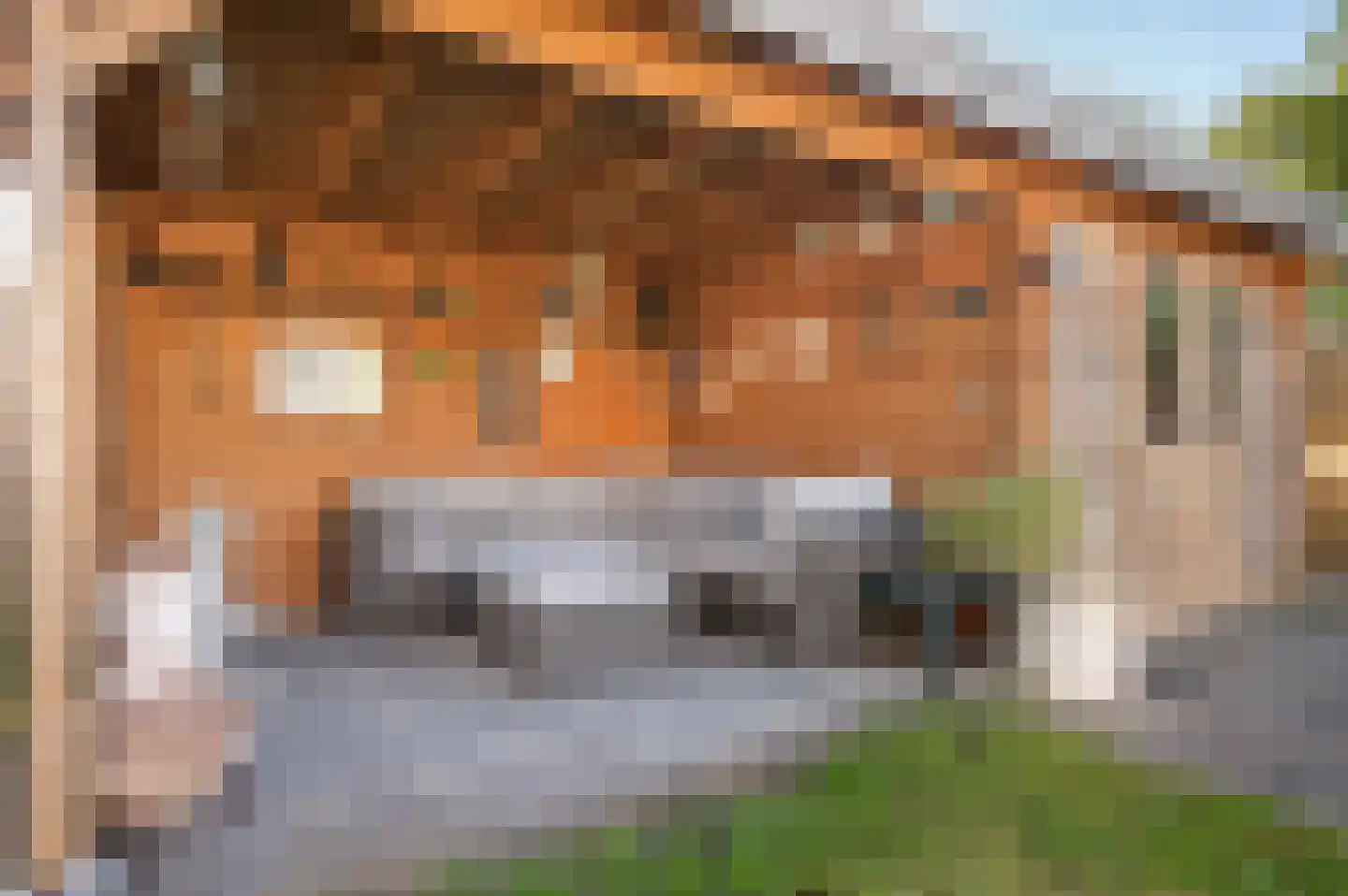 Haerkamp 41 Gorssel thumbnail 26