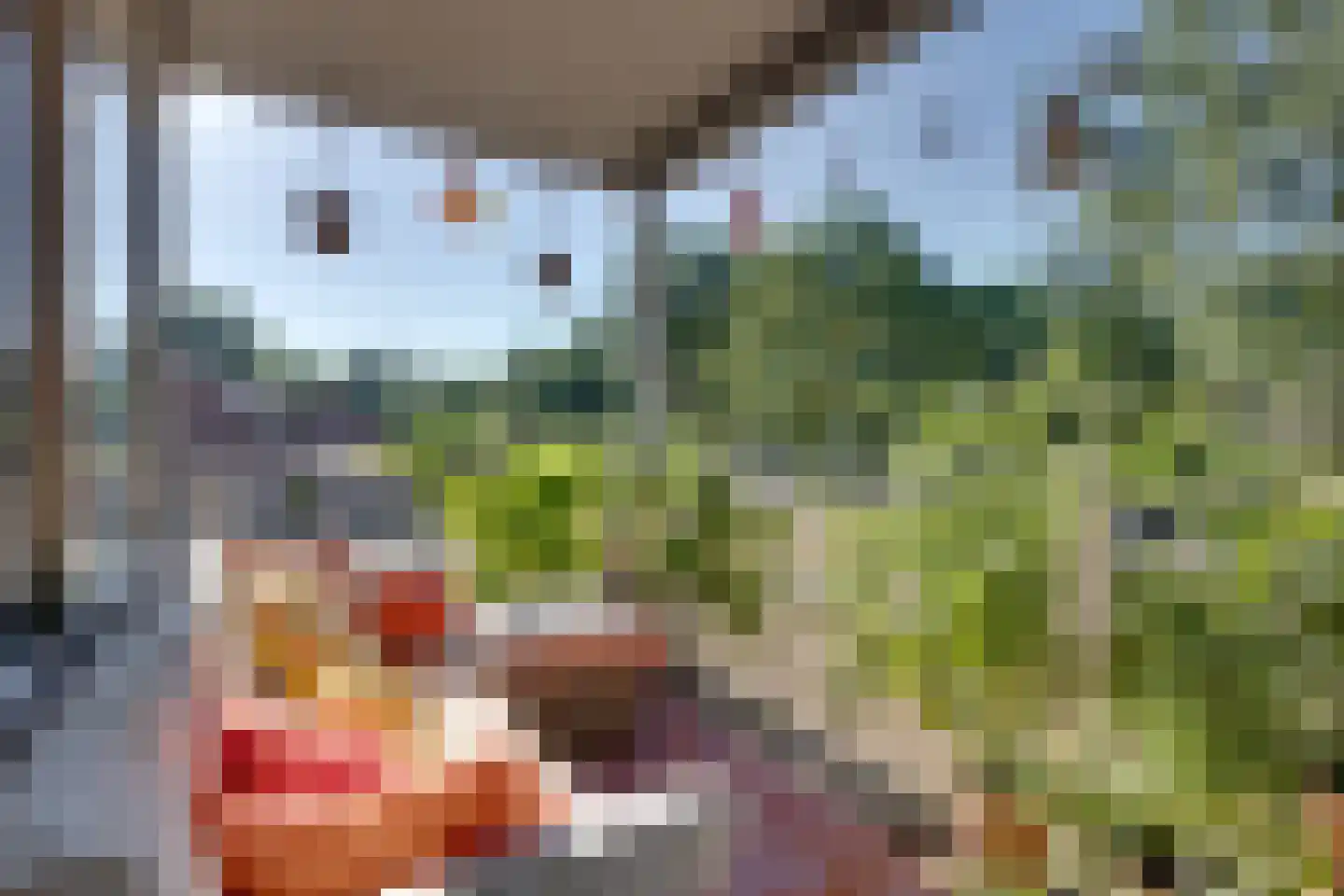 Haermansweijde 72 Aalten thumbnail 23