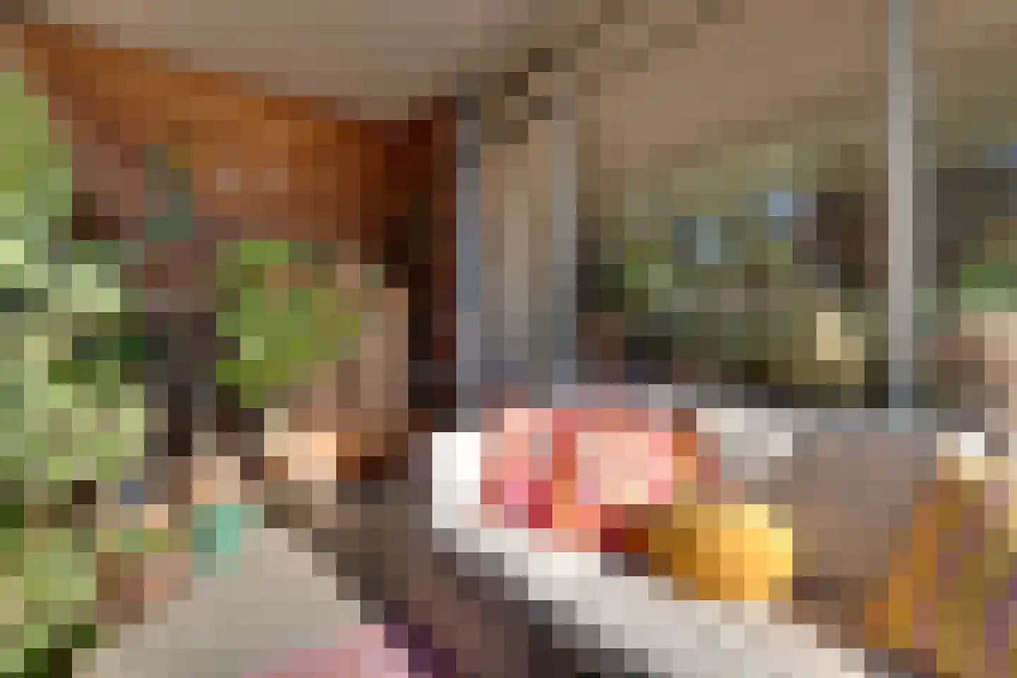 Haermansweijde 72 Aalten thumbnail 25