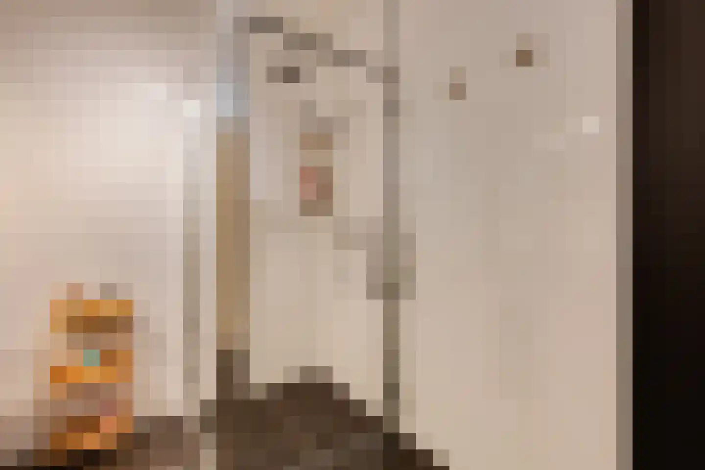 Haermansweijde 72 Aalten thumbnail 31