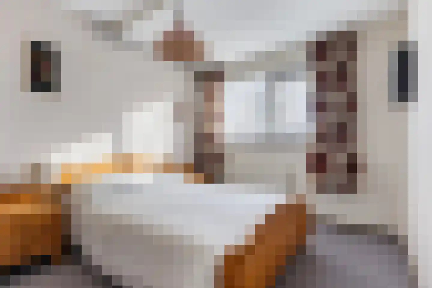 Haersmastins 44 Leeuwarden thumbnail 24