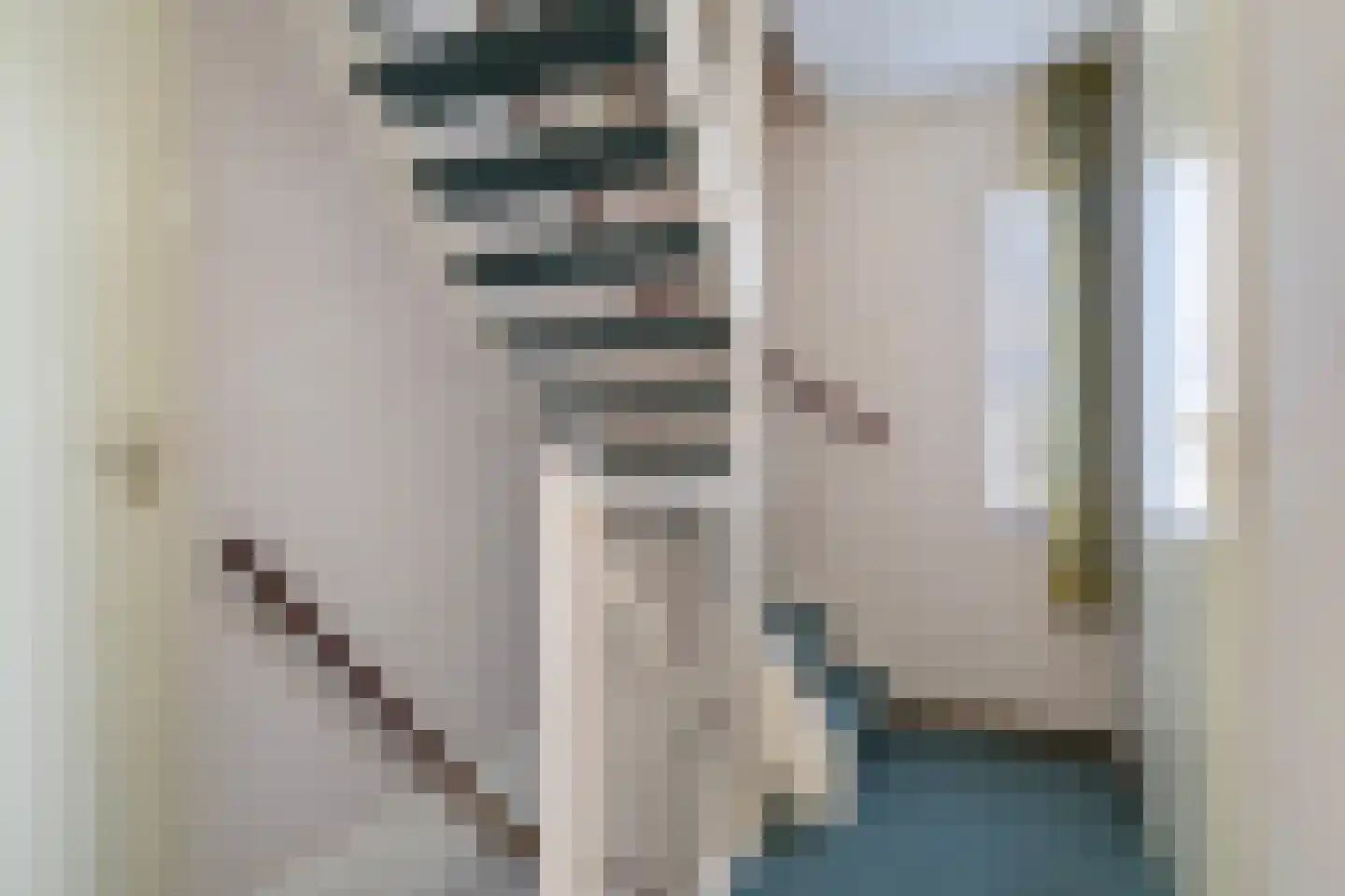 Haersmastins 44 Leeuwarden thumbnail 32