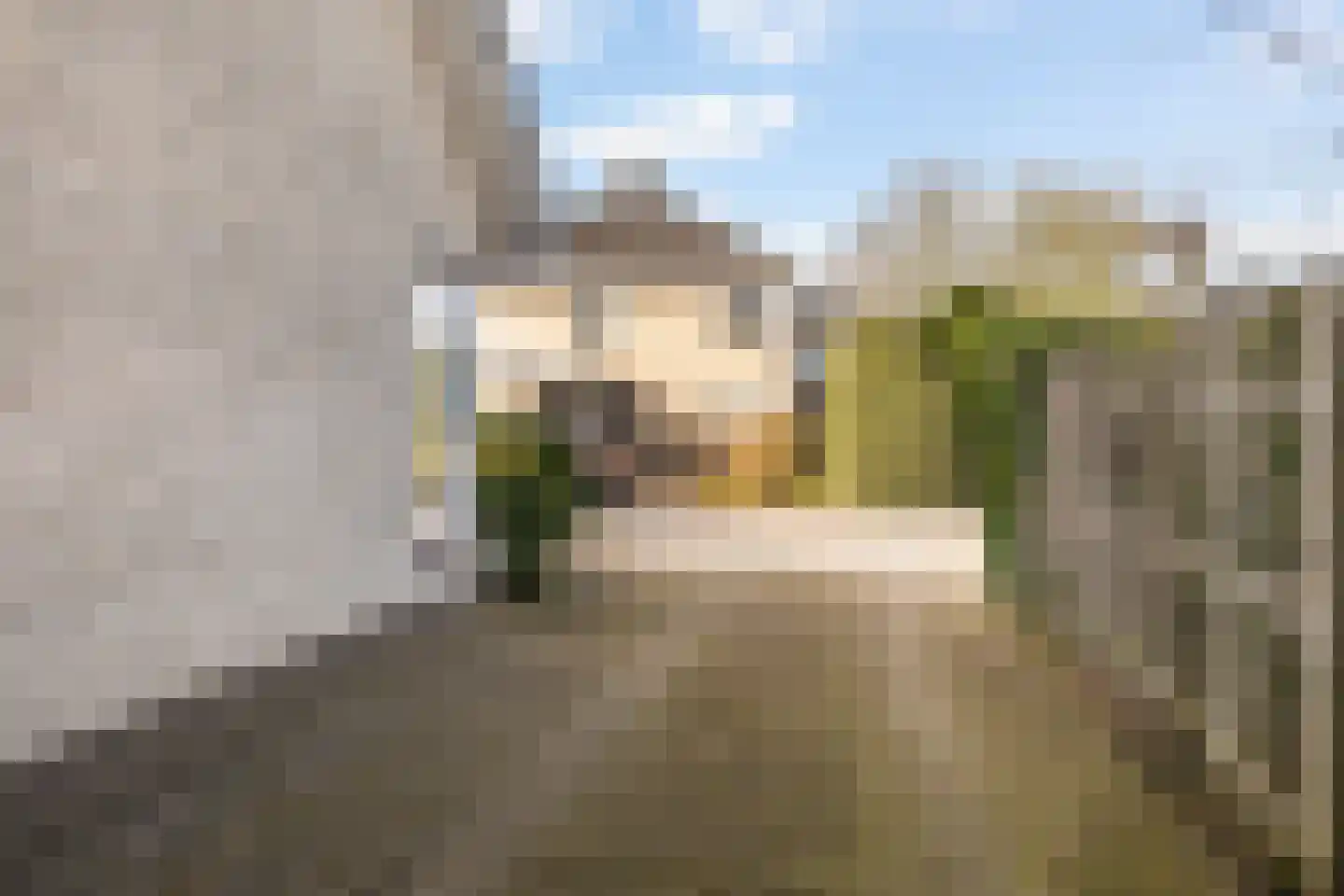 Haersmastins 44 Leeuwarden thumbnail 35