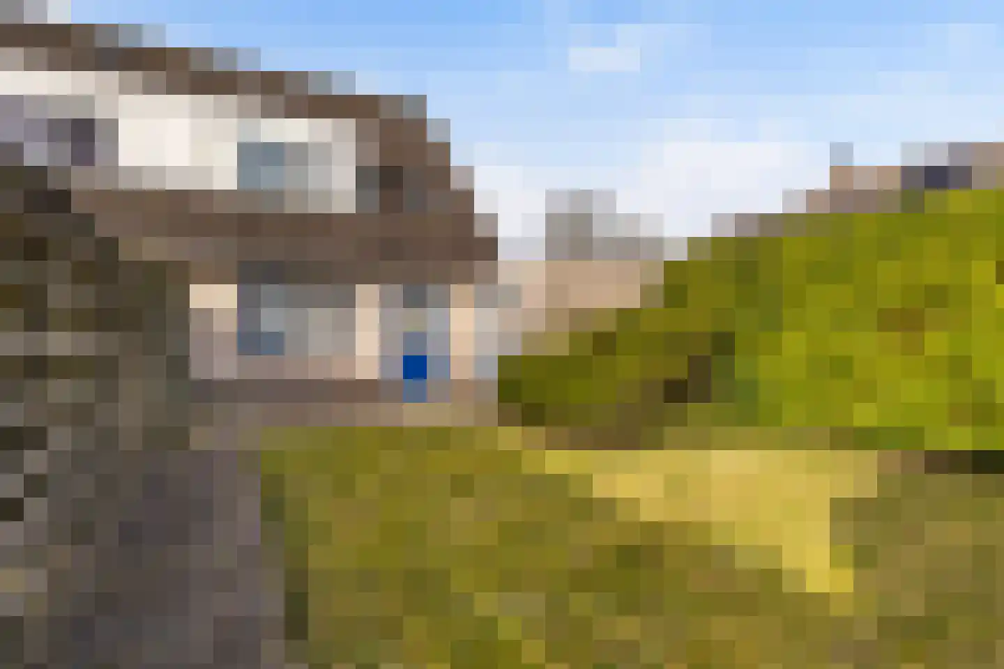 Haersmastins 44 Leeuwarden thumbnail 9
