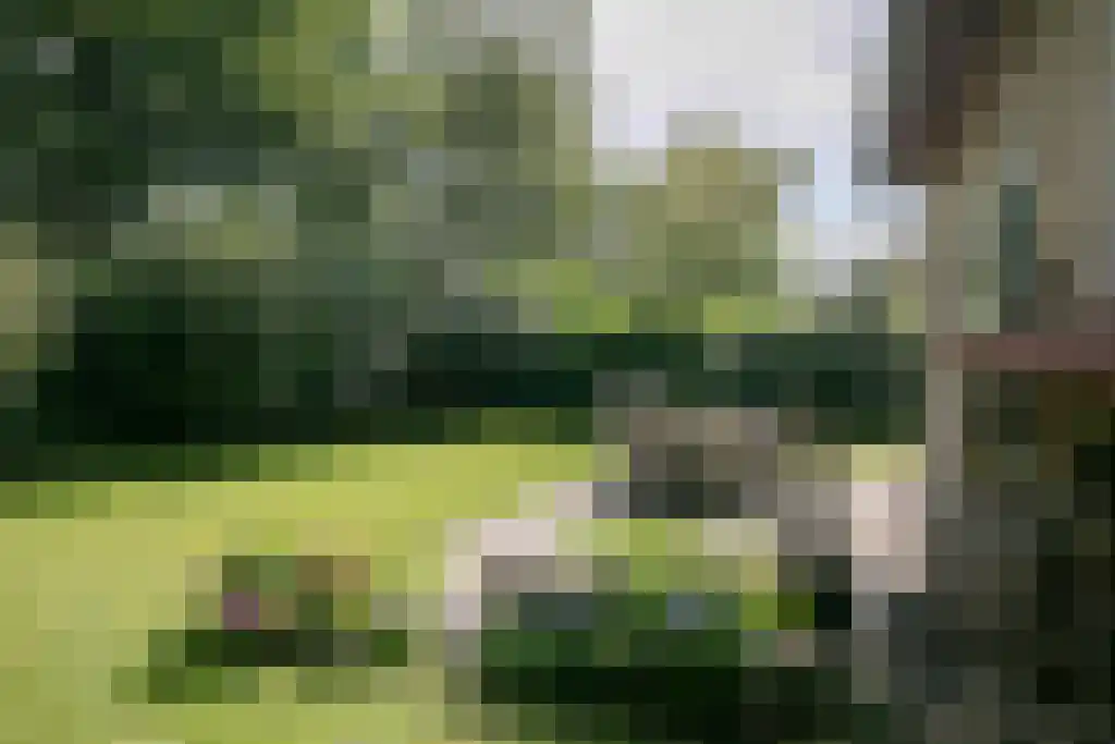 Haersolteweg 17 156 Dalfsen thumbnail 4