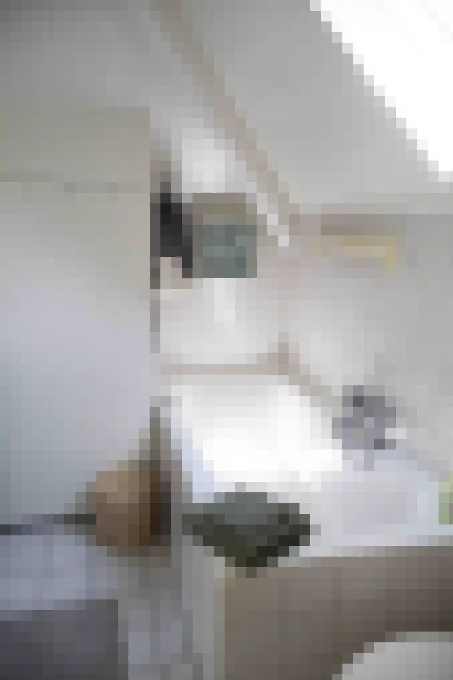 Haersolteweg 17 G 003 Dalfsen thumbnail 13